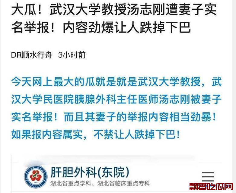 武汉大学现任教授遭妻子实名举报事件，妻子举报武汉大学教授曝光