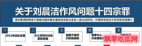 合肥公务员刘晨洁53页PPT的事件，被前妻举报婚内出轨,假学历等